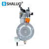 Piezas de bomba de agua de gasolina ER2500 2KW 168F, conjunto de kit de carburador Manual LPG de doble uso para motor