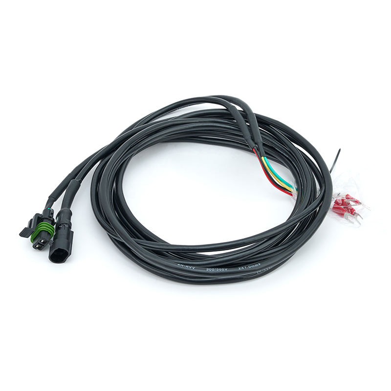 Juego completo de controlador de velocidad del motor de CC C2002 A1000C-W regulador del actuador del generador 12V 24V
