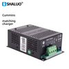 Generador diésel smartgen, cargador de batería automotriz de plomo ácido 12V 24V 6A bac06a