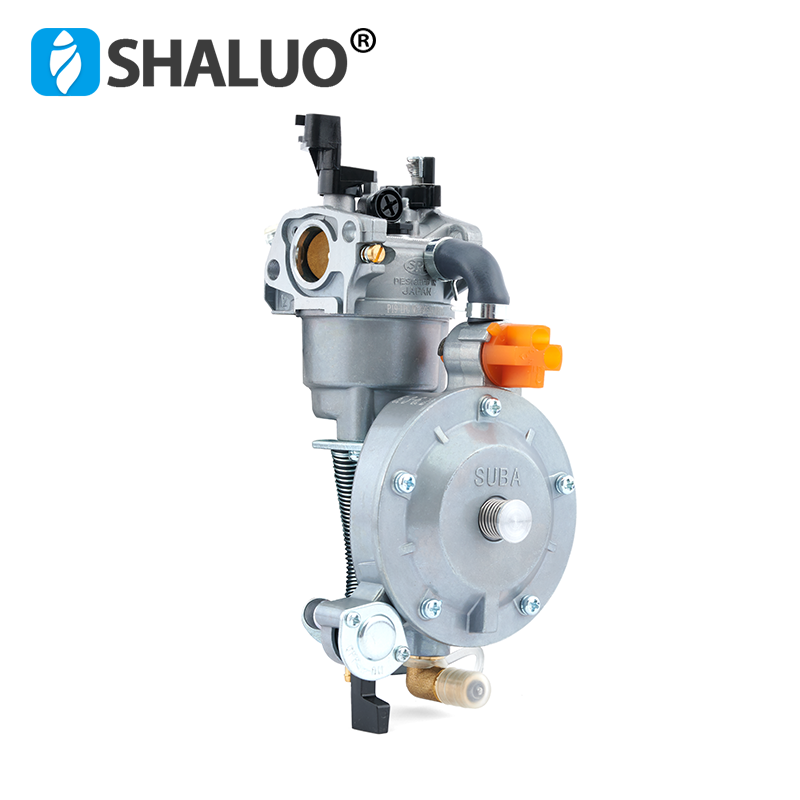 Piezas de bomba de agua de gasolina ER2500 2KW 168F, conjunto de kit de carburador Manual LPG de doble uso para motor
