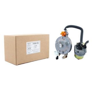 Bombas de agua de gasolina 152F motor carburador P15H-LPG GX100 reemplazo