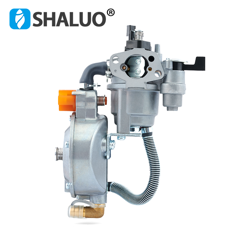 Piezas de bomba de agua de gasolina ER2500 2KW 168F, conjunto de kit de carburador Manual LPG de doble uso para motor