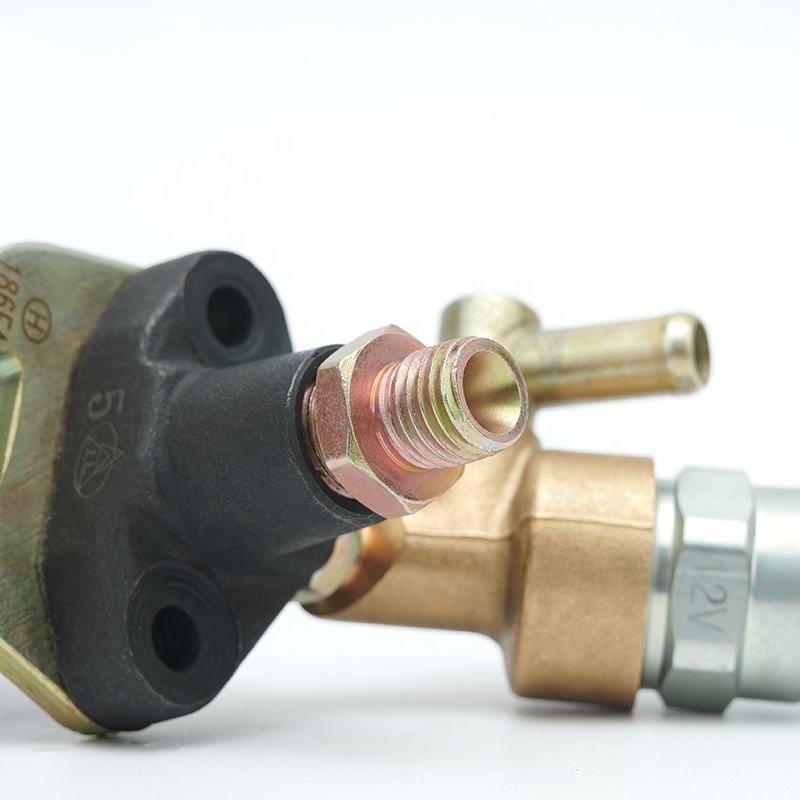 Bomba de aceite eléctrica del generador del motor diesel de los recambios 186FA