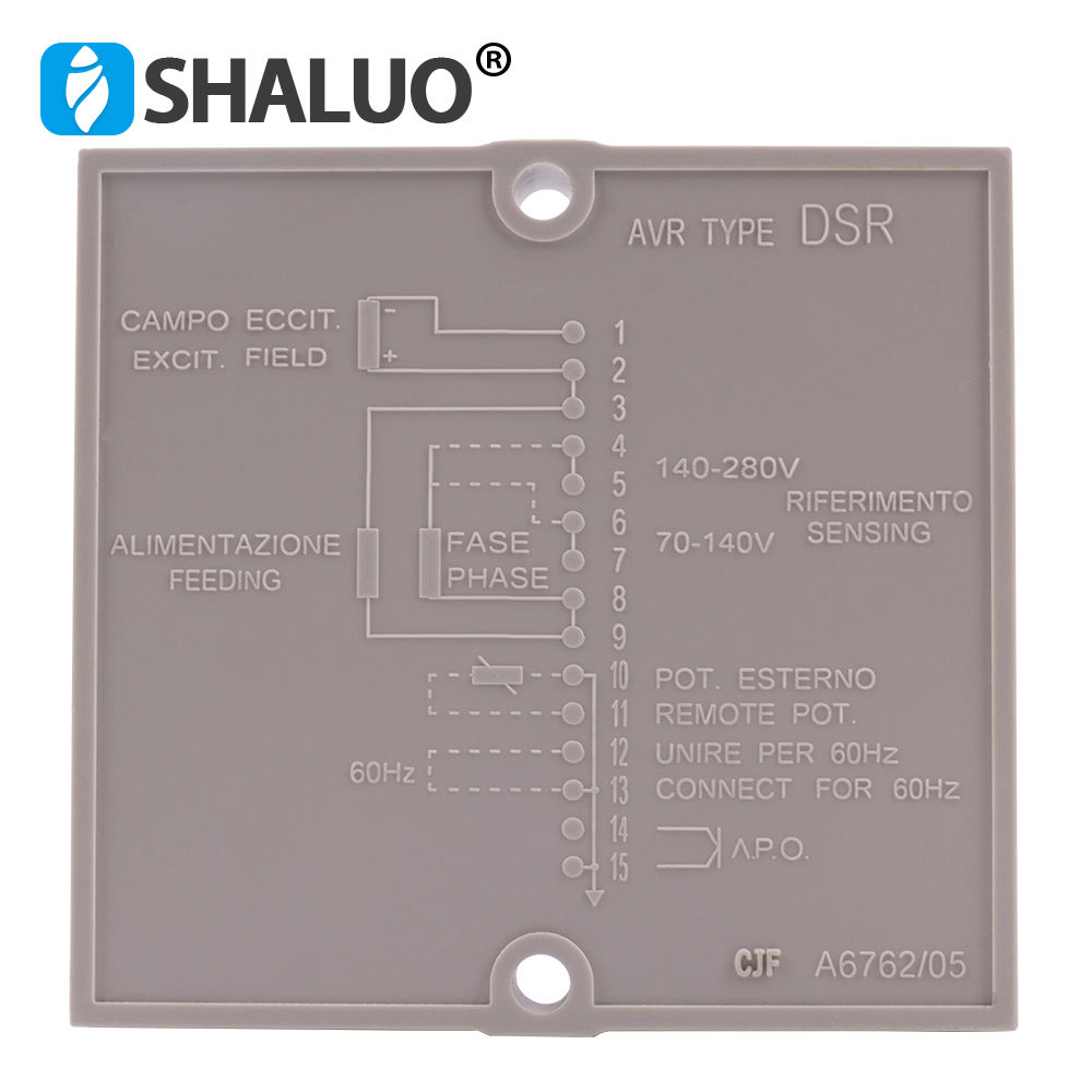 Belleza AD motor DSR regulador de voltaje regulador de presión digital avr