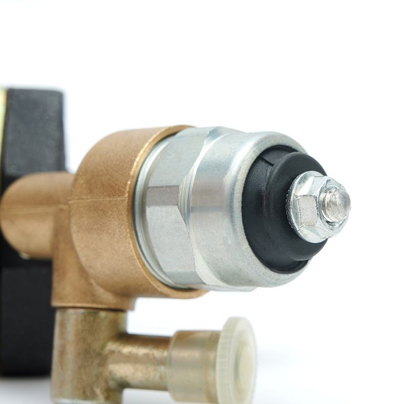 Bomba de aceite eléctrica del generador del motor diesel de los recambios 186FA