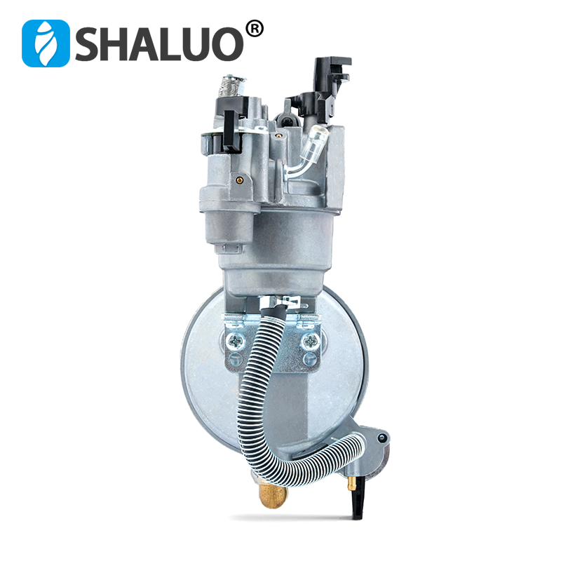 Piezas de bomba de agua de gasolina ER2500 2KW 168F, conjunto de kit de carburador Manual LPG de doble uso para motor
