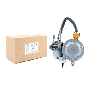 GT241 154F huayi piezas de generador de gasolina motor de doble uso LPG kit de carburador Manual assy