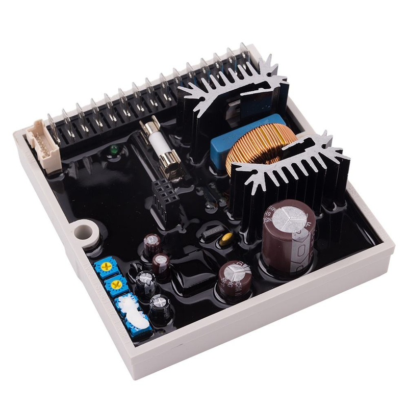Belleza AD motor DSR regulador de voltaje regulador de presión digital avr