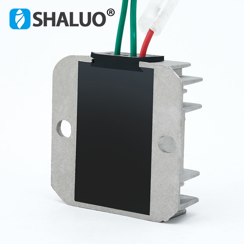Cargador de batería del grupo electrógeno diésel 186F 178F Oplader 12V 5KW