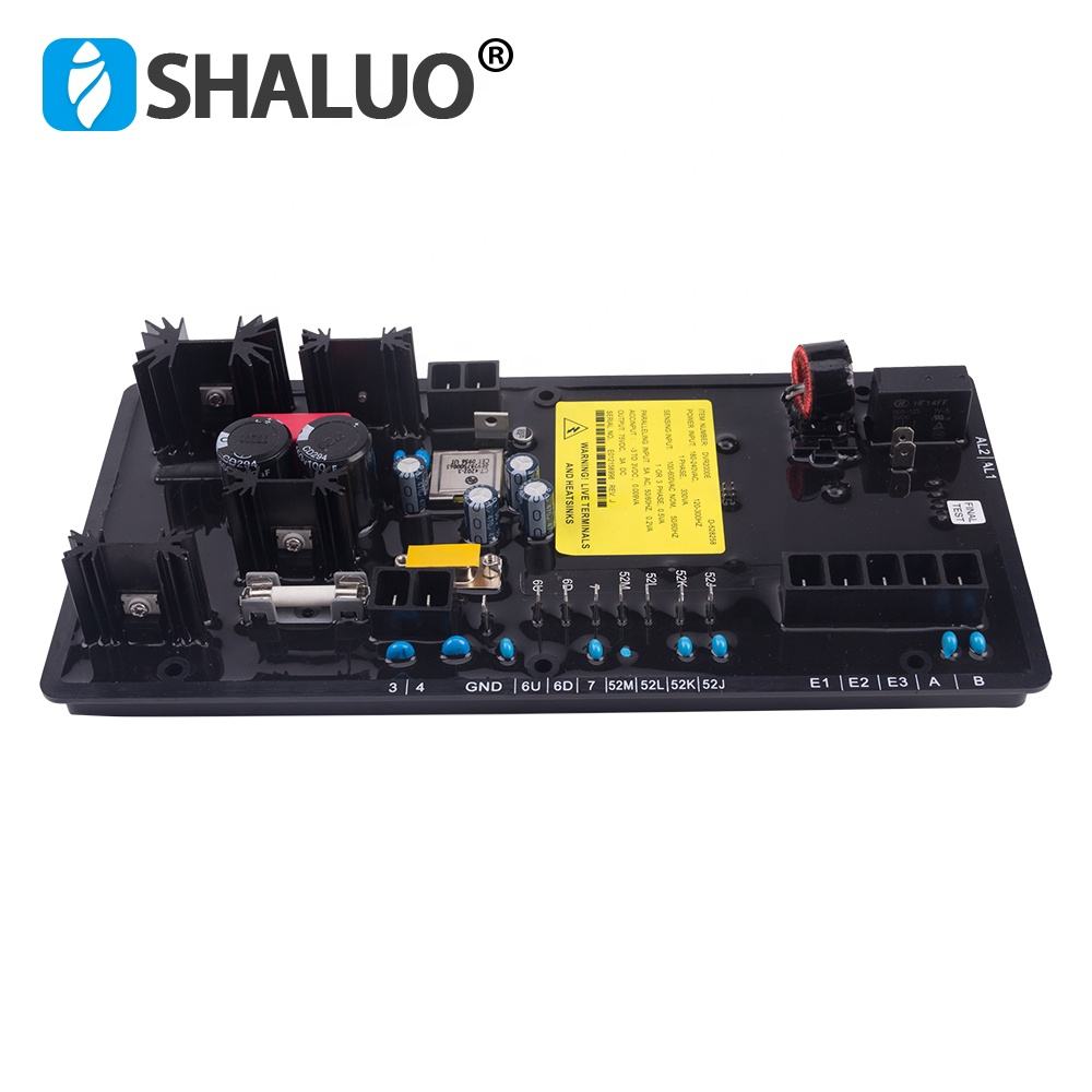 Regulador de voltaje automático del generador AVR DVR2000E